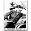 Blechschild - Wertheimer - Elvis on Bike, ca. 31,5 x 40,5 cm
